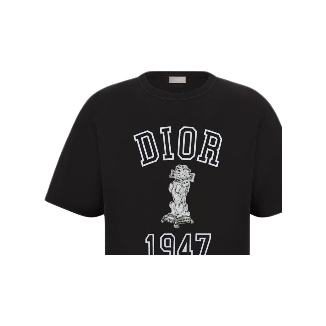 Kaos Pendek DIOR dengan Motif Gambar/Cetak, Cocok untuk Pria dan Wanita  -D-03