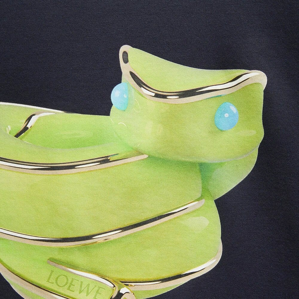 Kaos Pendek LOEWE dengan Motif Gambar/Cetak, Cocok untuk Pria dan Wanita -LE-13